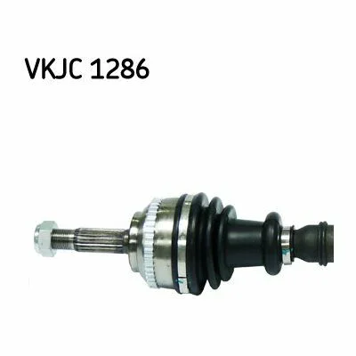distriauto2-682857