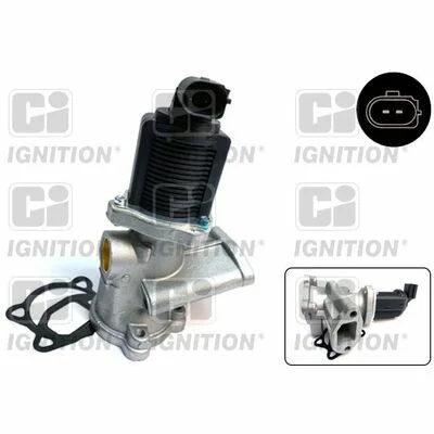 distriauto2-718725