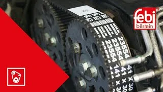 distriauto3-773604
