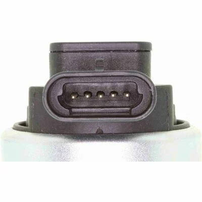 distriauto4-786324