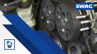distriauto5-814986