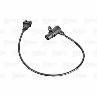 distriauto5-817932