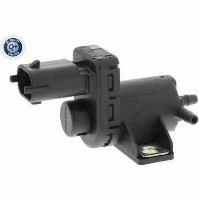 distriauto5-852317