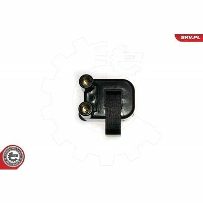 distriauto6-805456