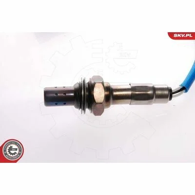 distriauto6-810552