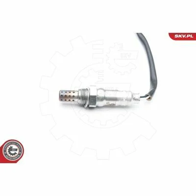 distriauto6-811565
