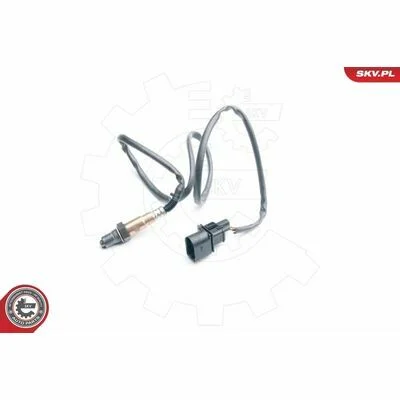 distriauto6-811652