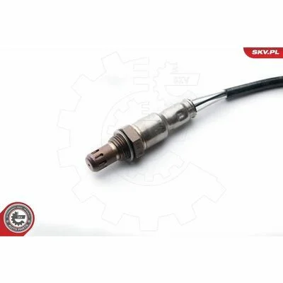 distriauto6-811734