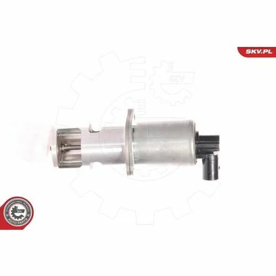 distriauto6-827827