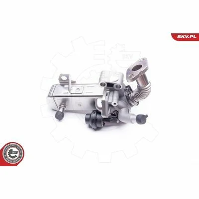 distriauto6-828112
