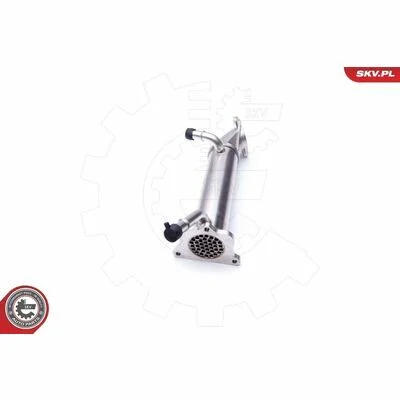 distriauto6-828144