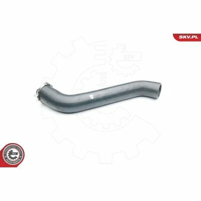 distriauto6-847316
