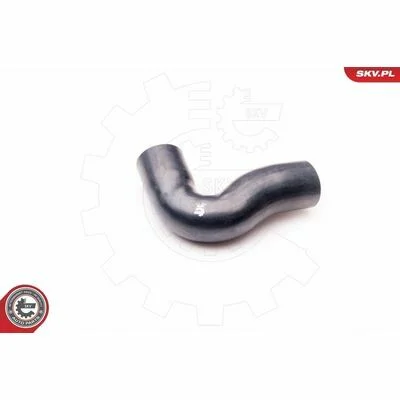 distriauto6-847504