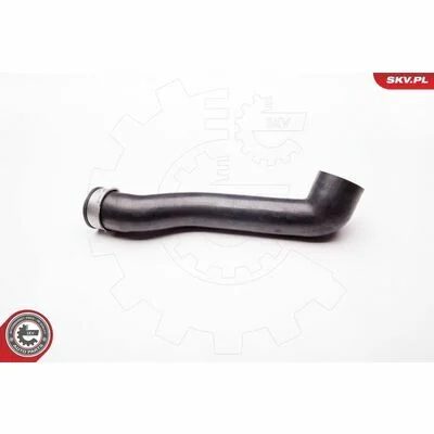 distriauto6-847529