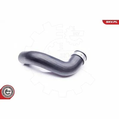 distriauto6-848203