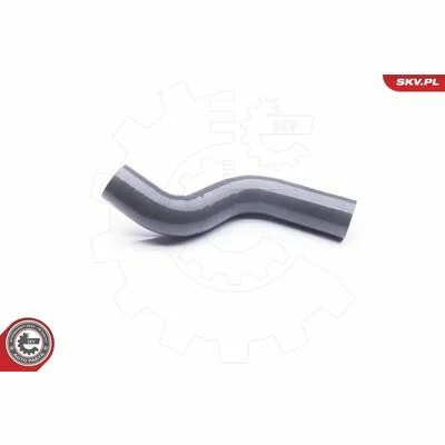 distriauto6-848306