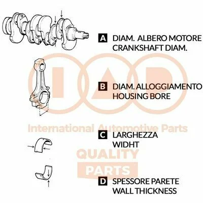 distriauto6-894509
