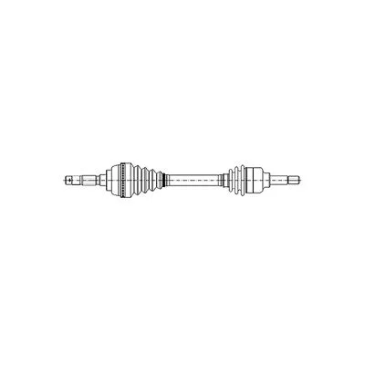 distriauto7-804575