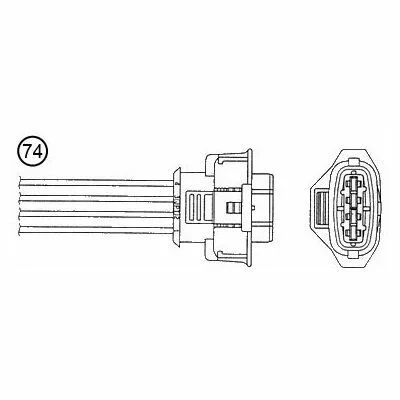 distriauto7-875546