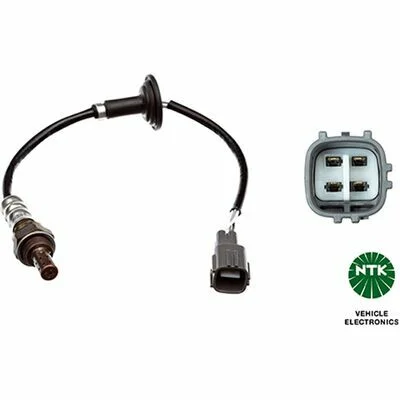distriauto7-875676