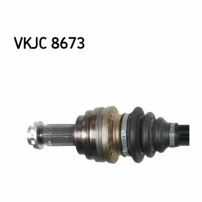 distriauto7-894184